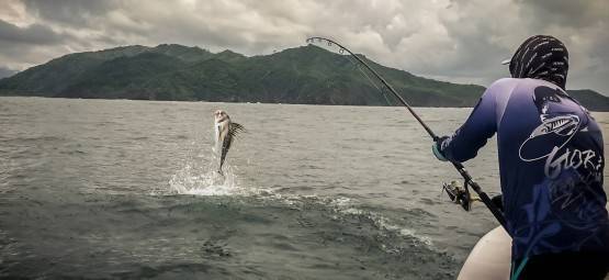 Fishing in Panama near the Shore Tuna — photo 01
