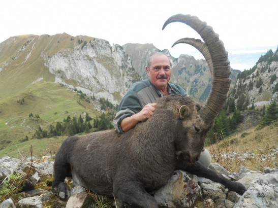 Hunting for Alpine ibex in Switzerland — photo 01