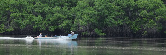Рыбалка в дельте реки Гуаяс — фото 01