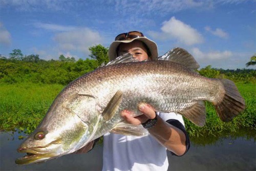Trophy fishing in Sri Lanka — photo 05
