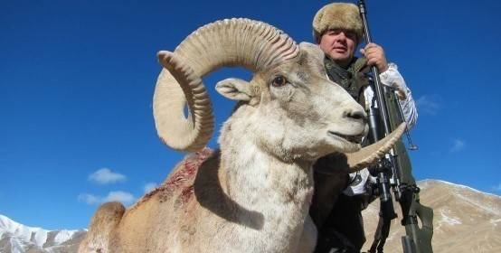 The hunt for Marco Polo sheep — photo 01