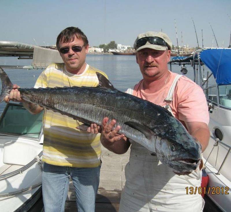 Рыбалка в Персидском заливе — видео