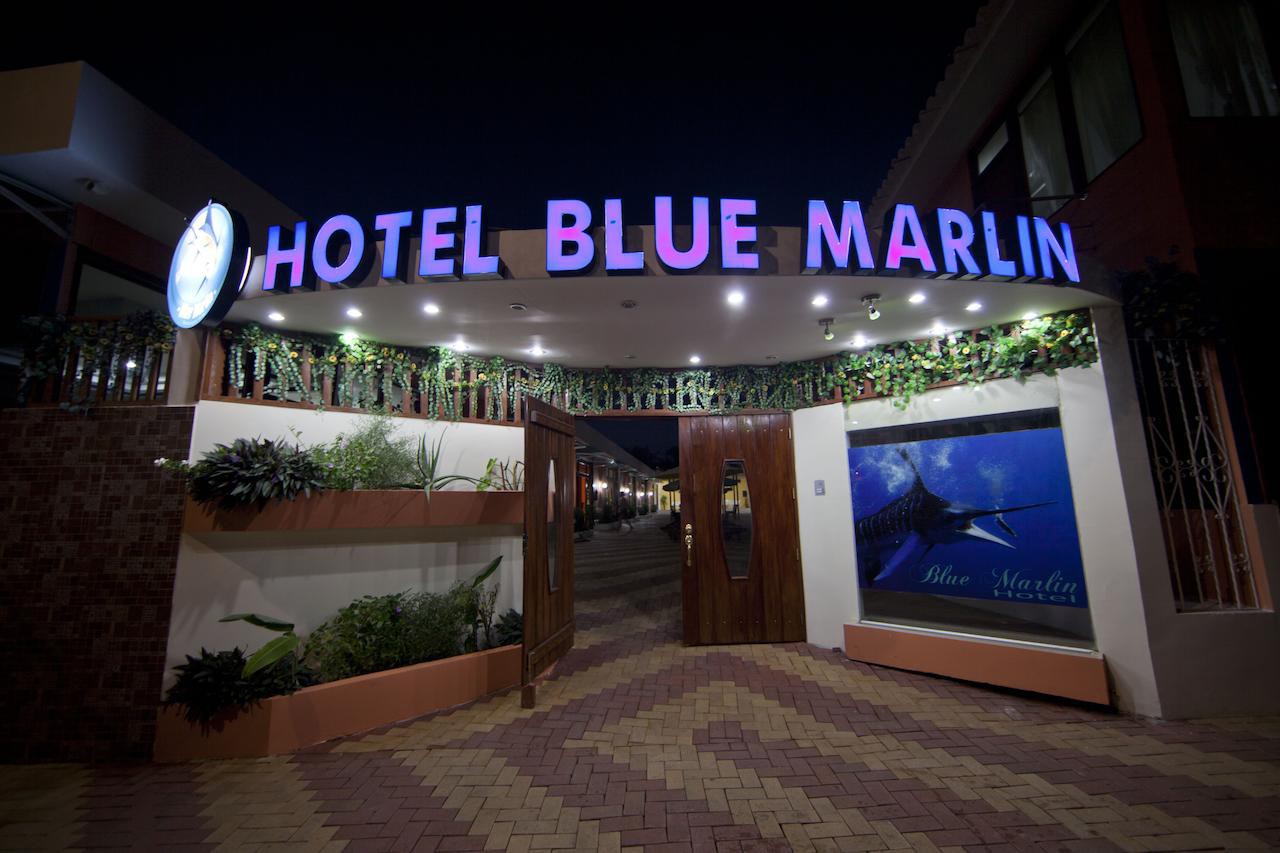 Hotel Blue Marlin. Level of comfort: economical