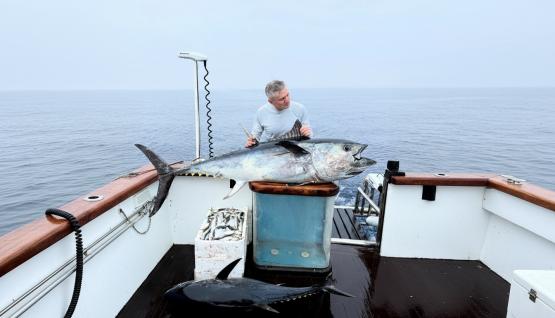 Fishing for bluefin tuna in Turkey — photo 03