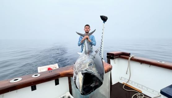 Fishing for bluefin tuna in Turkey — photo 05