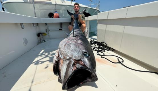 Fishing for bluefin tuna in Turkey — photo 01